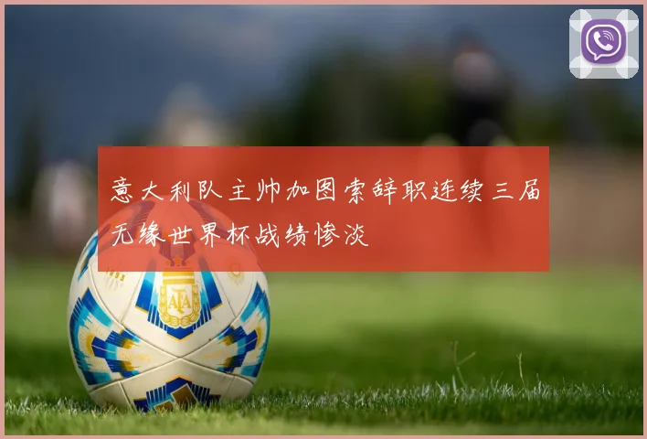 意大利队主帅加图索辞职连续三届无缘世界杯战绩惨淡